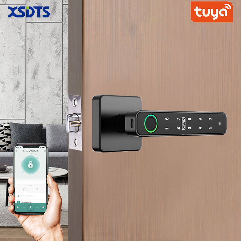 XSDTS Tuya Deurklink met vinge - Smart Home Design recensie en prijs