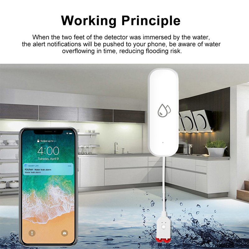 Tuya WiFi Waterlekkage Alarmse - Smart Home Project recensie en prijs